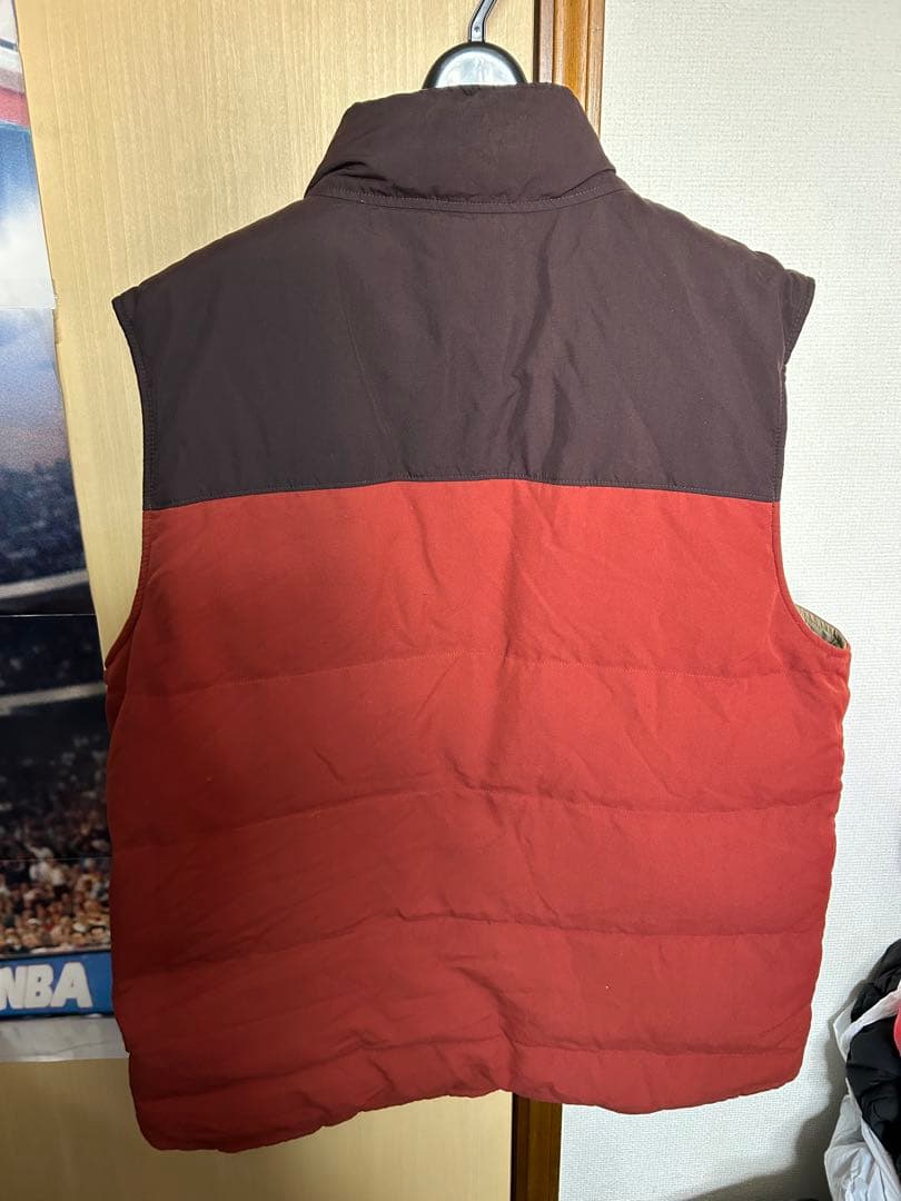 Patagonia リバーシブルダウンベスト