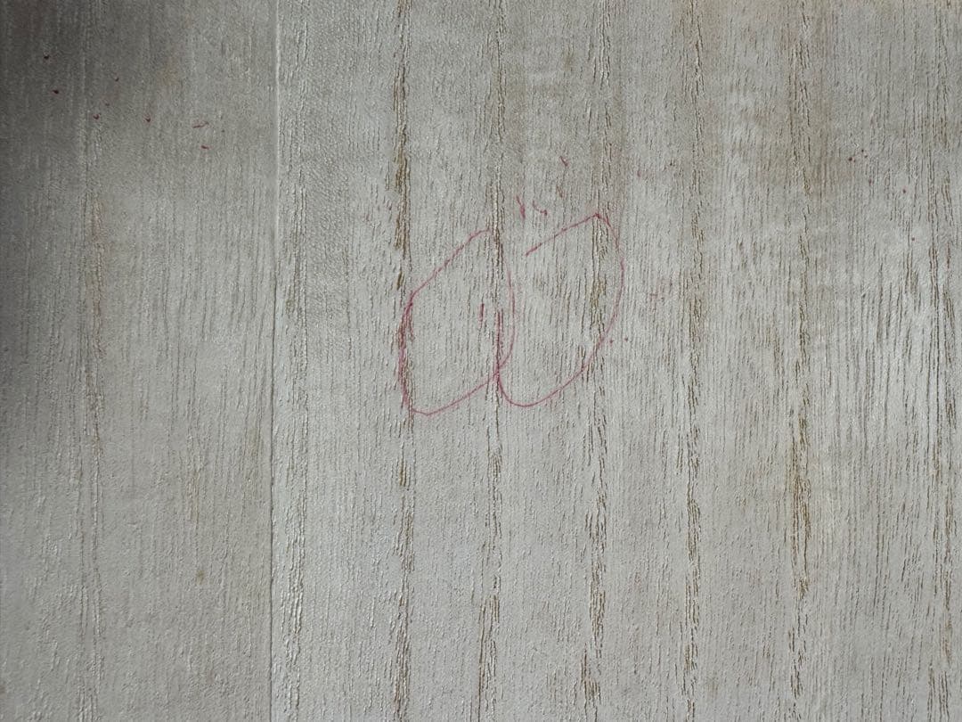 桐　押し入れ収納5段　キャスター付き