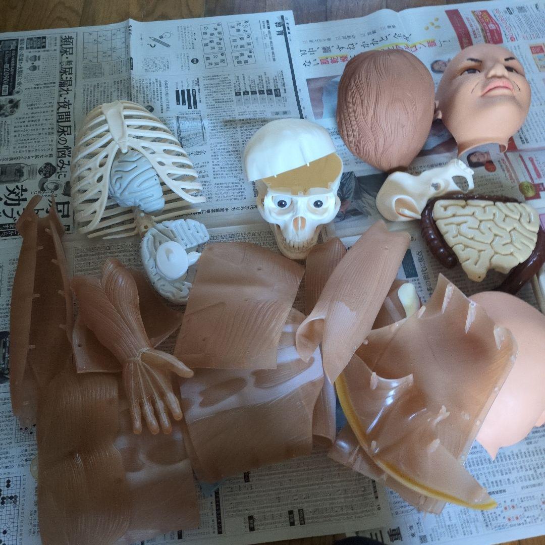 体のふしぎ 八冊セットとその他グッズ