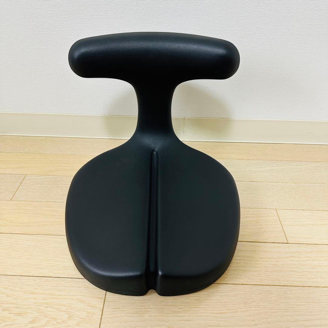 アーユルチェア ayur chair メディカルシート