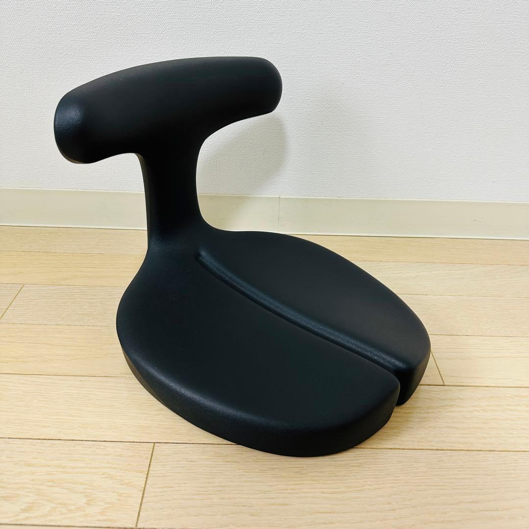 アーユルチェア ayur chair メディカルシート