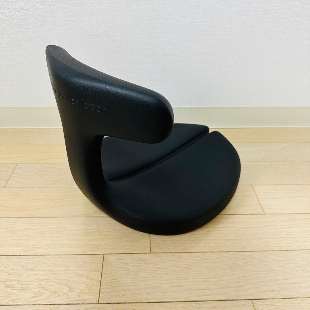 アーユルチェア ayur chair メディカルシート