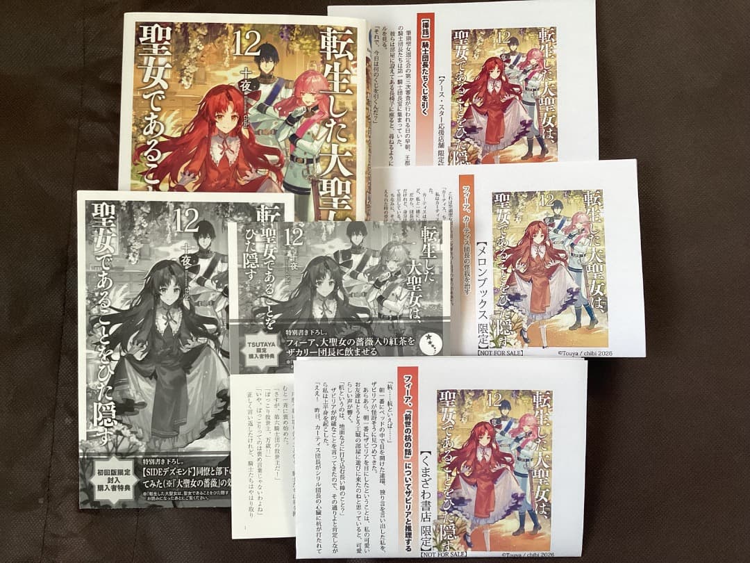 特典　転生した大聖女は聖女であることをひた隠す1〜12巻&ZERO2〜6巻 十夜