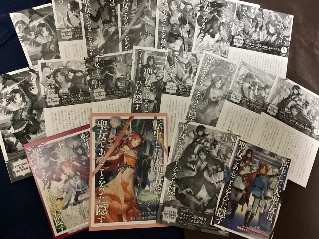 特典　転生した大聖女は聖女であることをひた隠す1〜12巻&ZERO2〜6巻 十夜