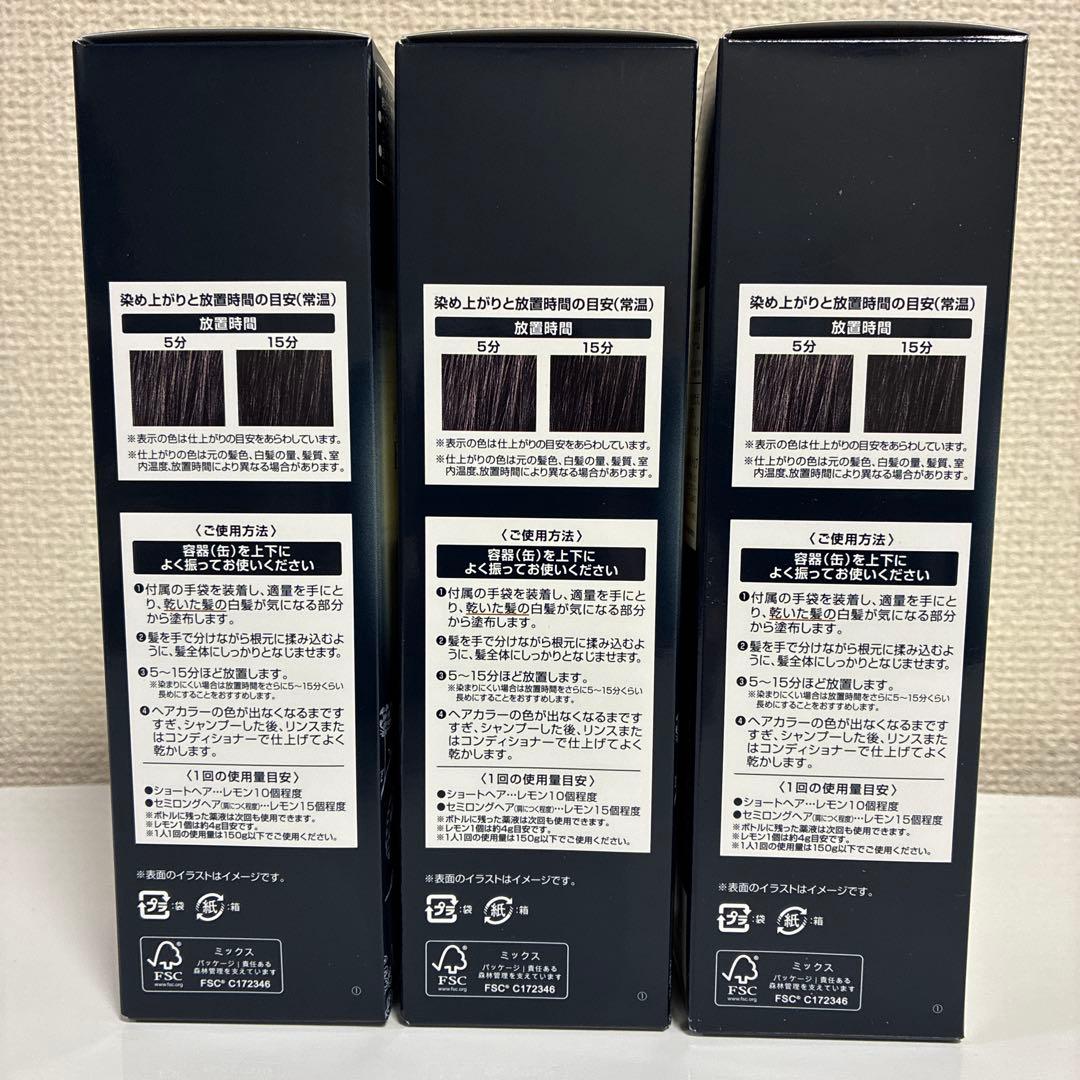 ヘアボーテ エクラ ボタニカル エアカラーフォーム ナチュラルブラック 3本