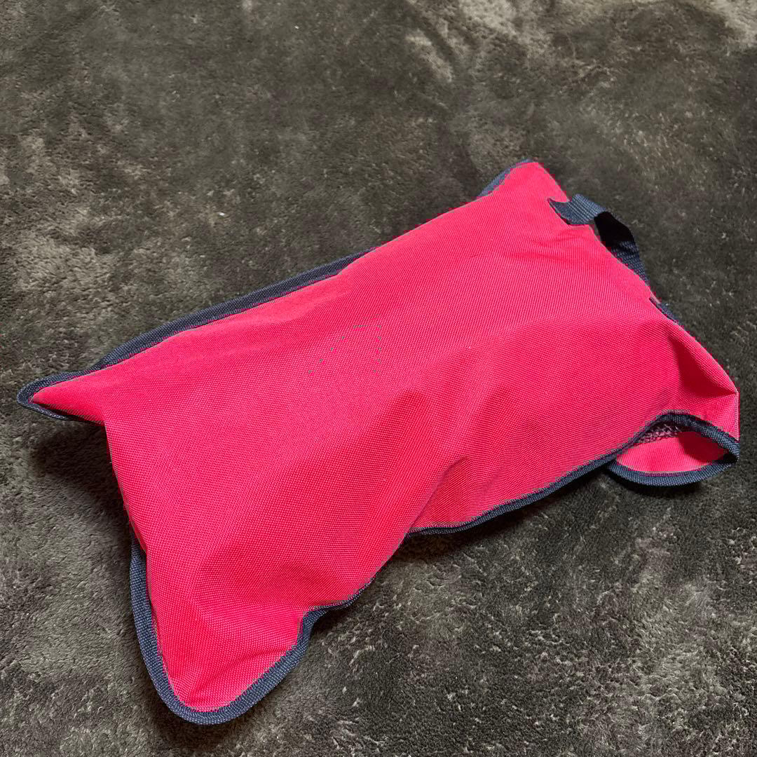 アルペンスキー スラローム SL ジュニア レガース