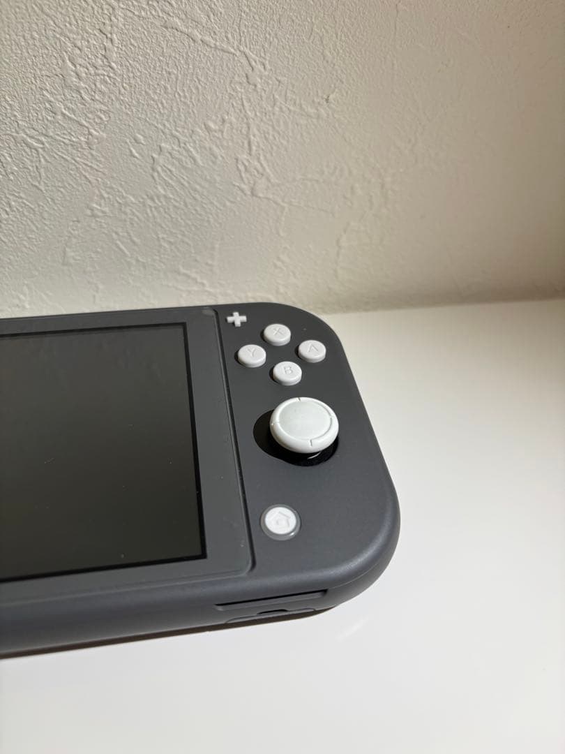 Switch Lite 任天堂 (ケース、SDカード付)