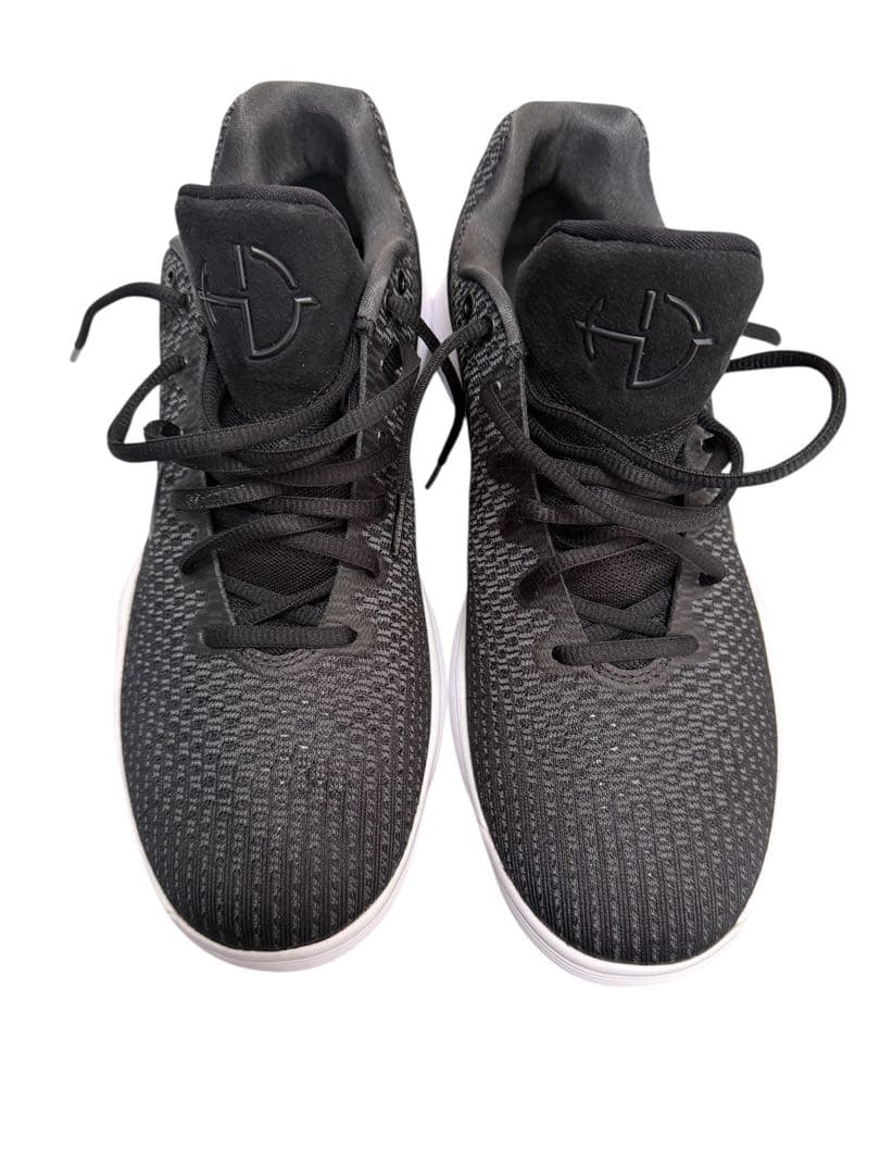 NIKE ハイパーダンク 2017LOW