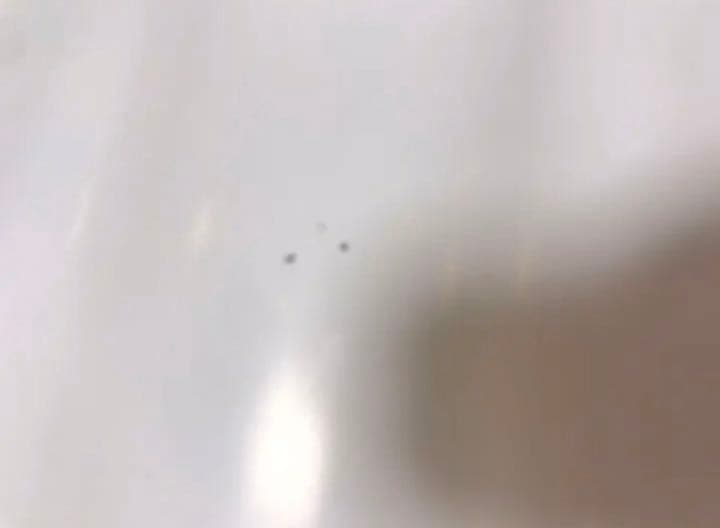 即購入❌全国10名限定激レア TWICE×HMV 直筆サインポスター