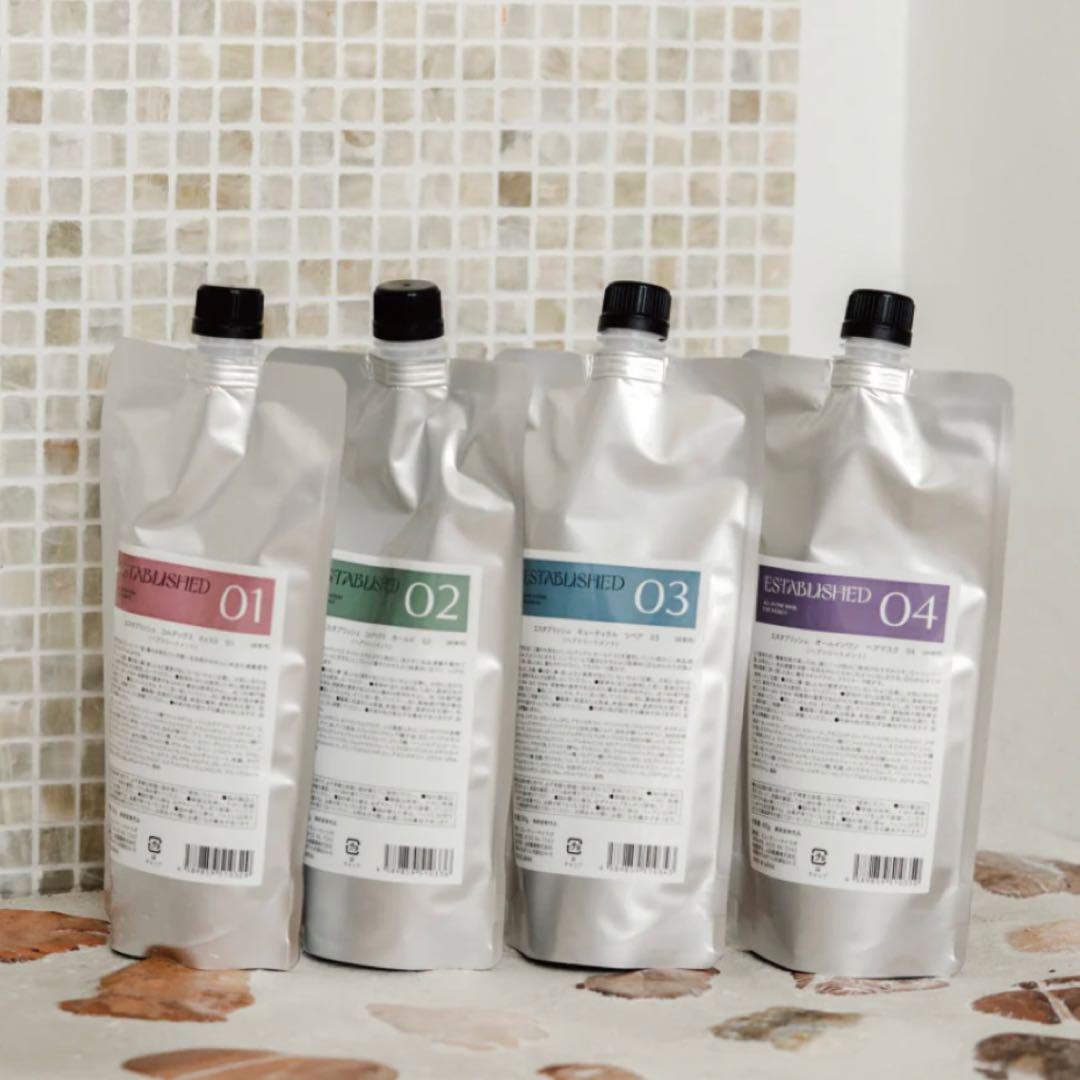 新品　エスタブリッシュ　システムトリートメント　業務用サイズ