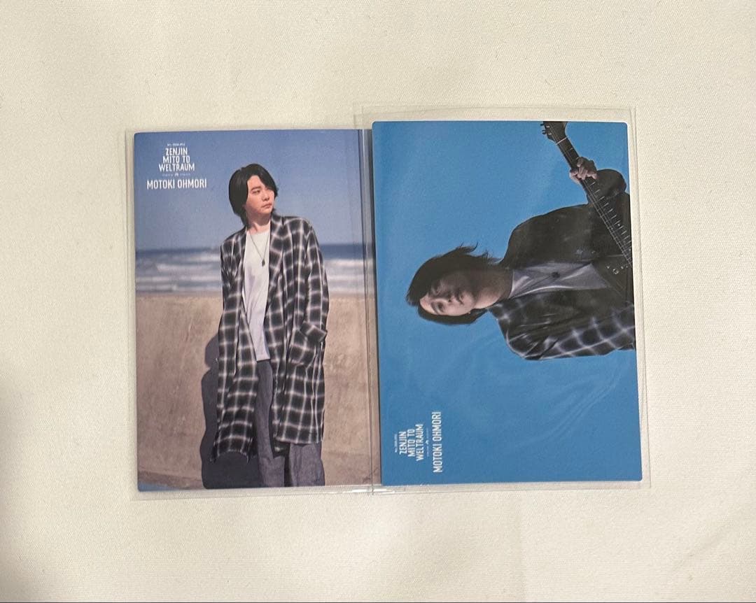 【バラ売り可 ・ ヴェルトラウム】Mrs. GREEN APPLE フォトカ