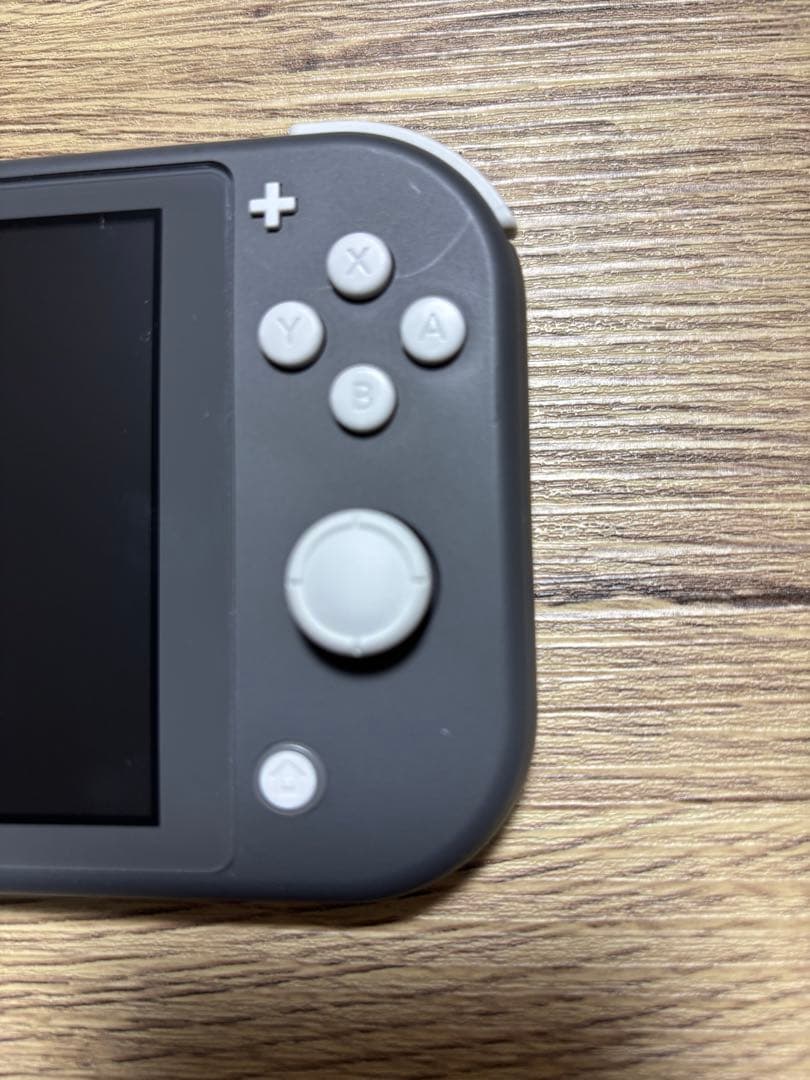 Switch Lite グレー 本体、専用ケース、充電器（スイッチライト）