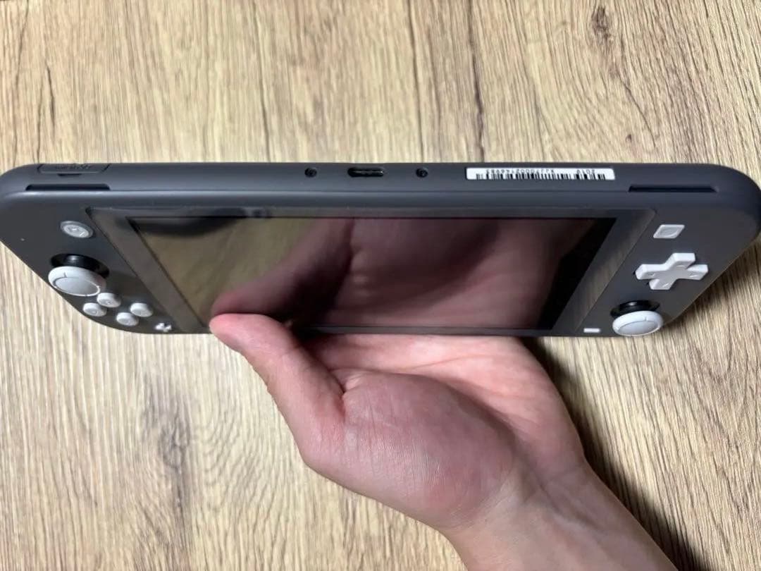 Switch Lite グレー 本体、専用ケース、充電器（スイッチライト）