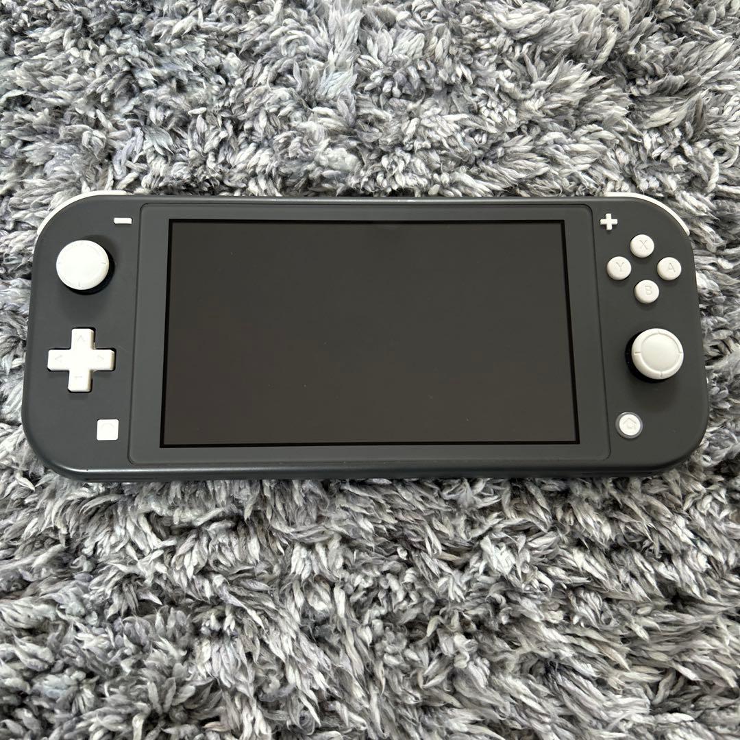 Switch Light 本体のみ