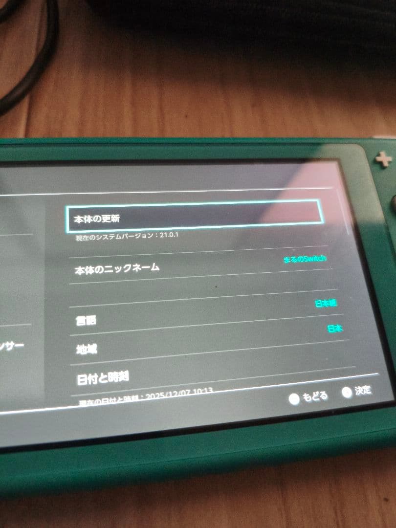 switch　Light　充電器　ケースつき