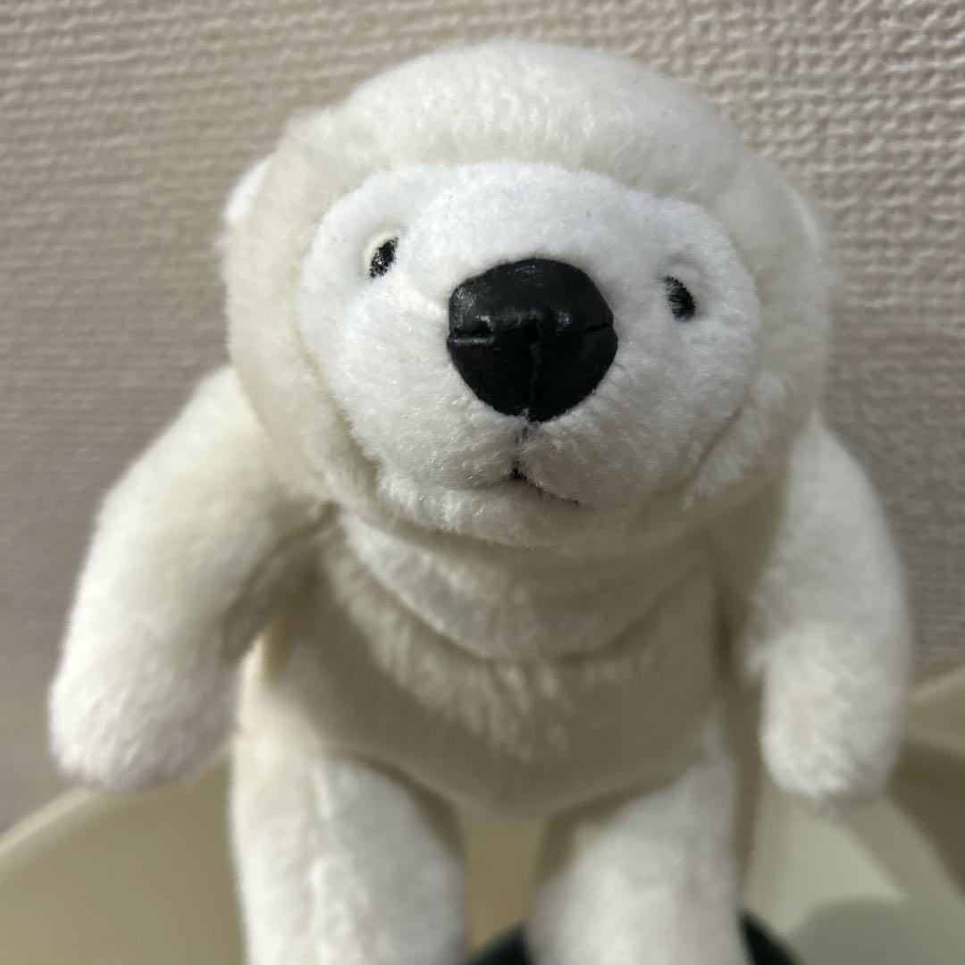 白　マレーちゃん　SS