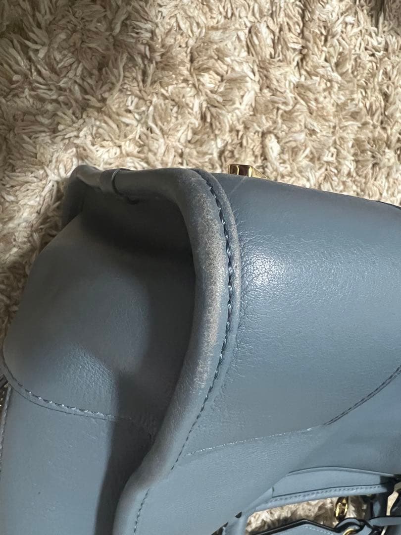 美品LOEWE アマソナ36