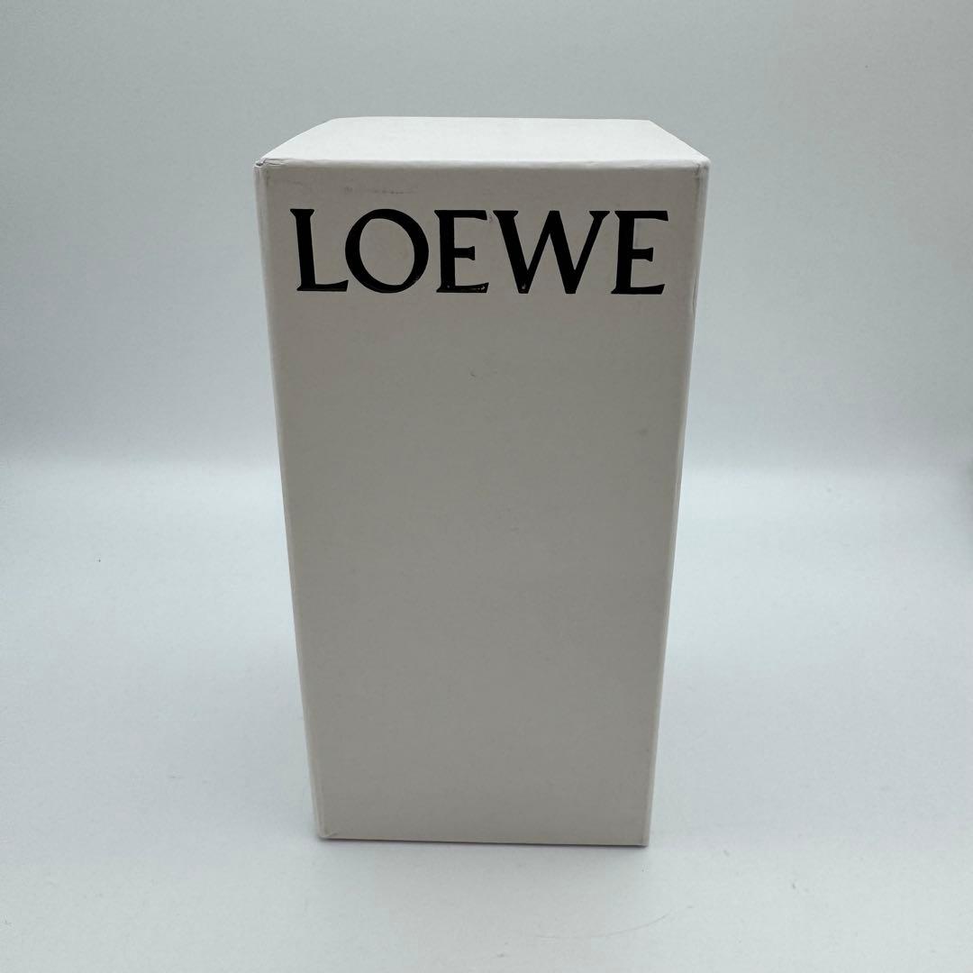 【箱付き】LOEWE バッグチャーム　フクロウ　フェルト　レザー