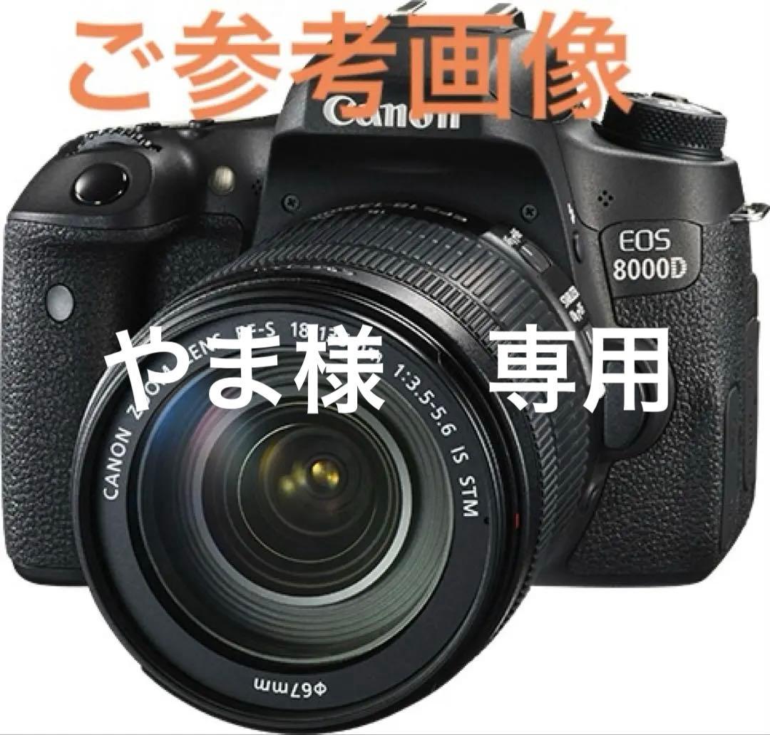 CanonEOS8000Dデジタル一眼レフカメラ　ダブルズームキット&おまけ