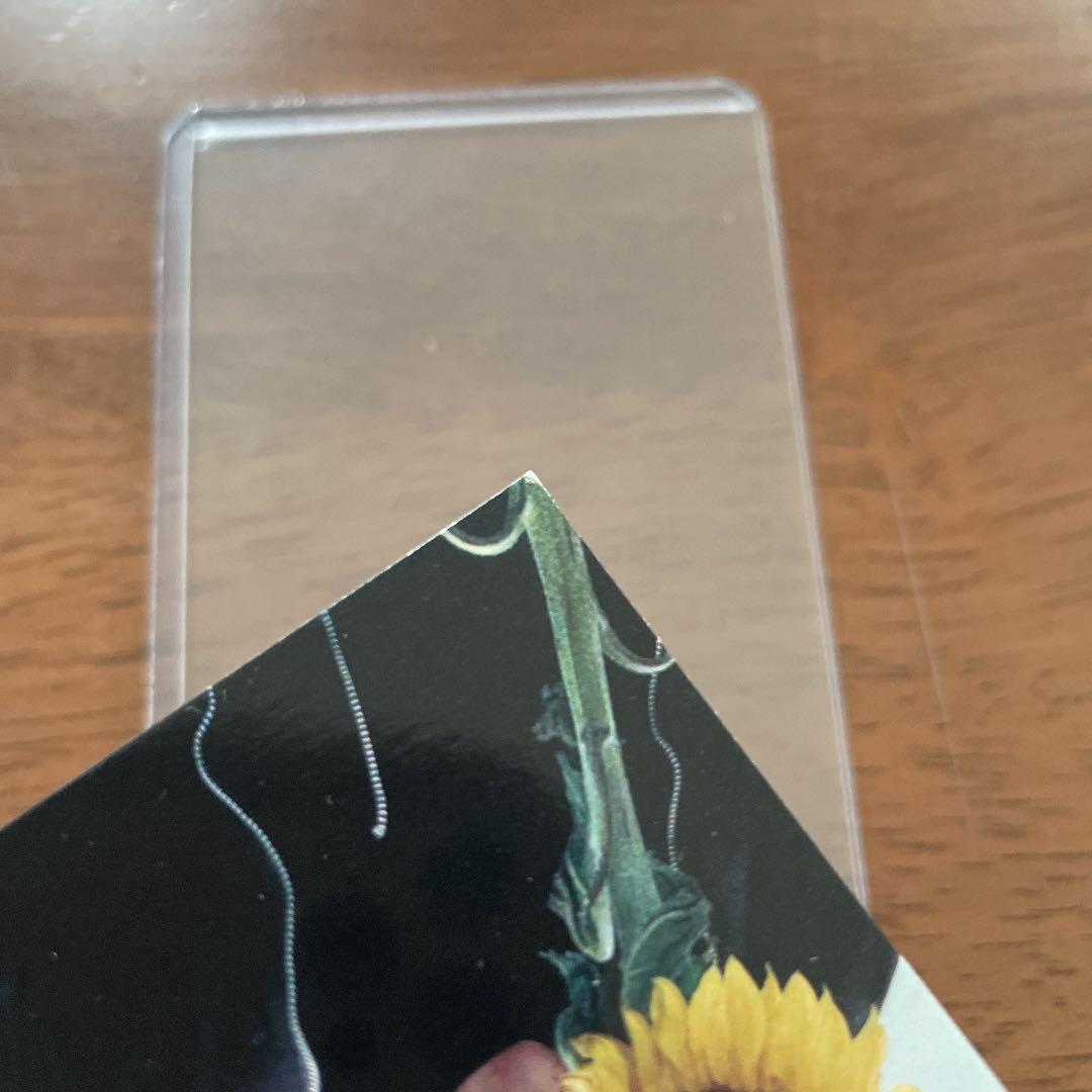 SEVENTEEN ジョンハン サノク  ひまわり