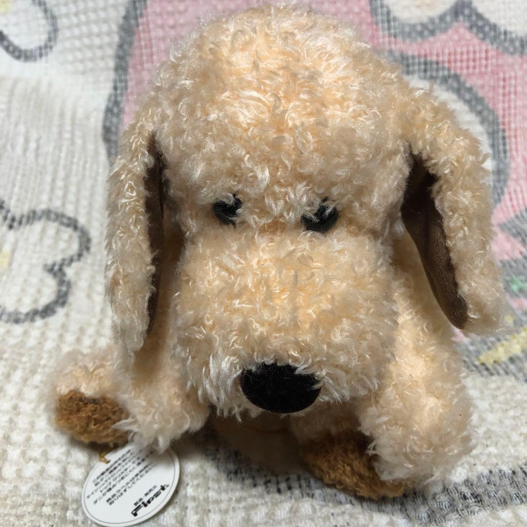 ファースト　Robin ロビン　犬　ぬいぐるみ　紙タグ付き　中古品