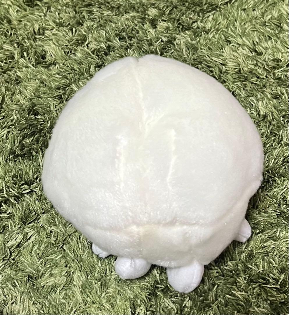 藤井風 ウィンディ