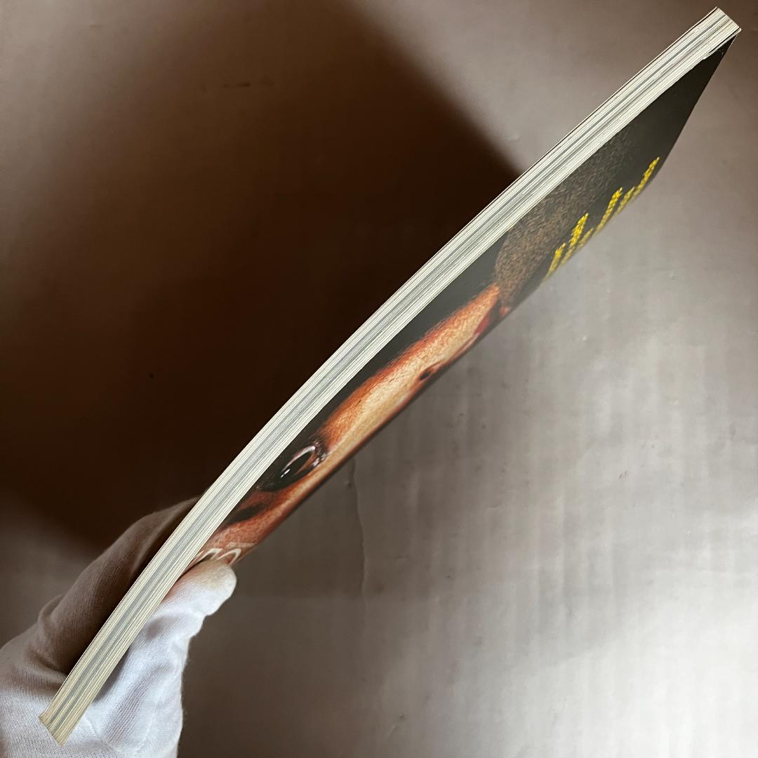 ZOOM　larry burrows