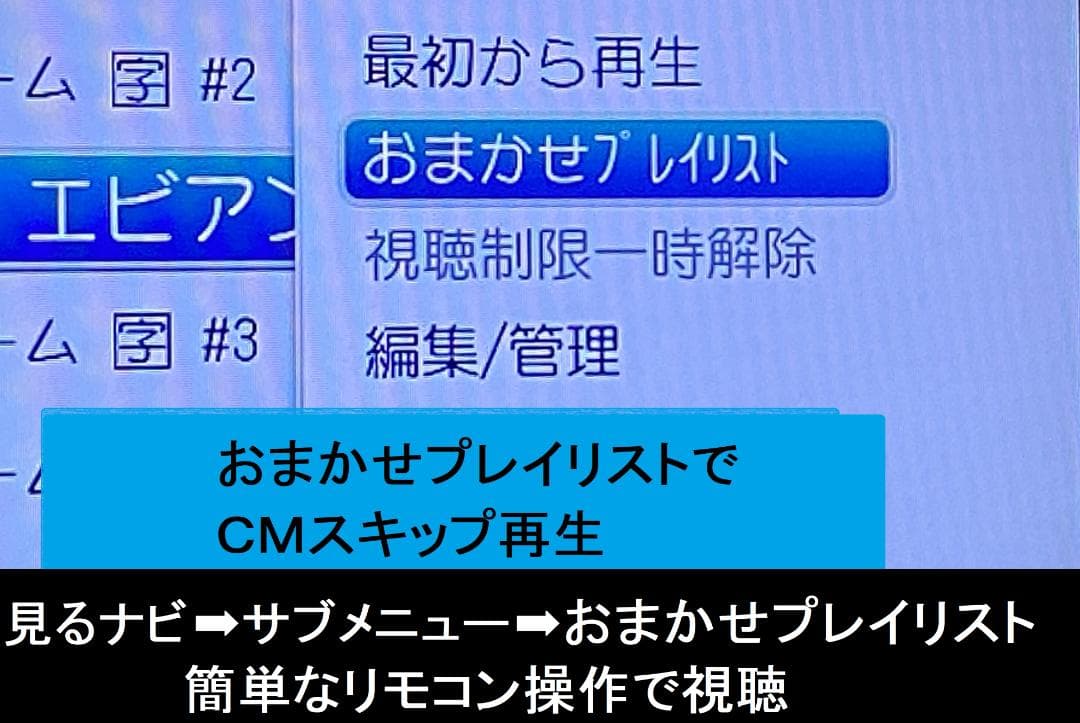 大満足　見るナビ　DBR-Z610　HDD:500ＧＢ　11-22