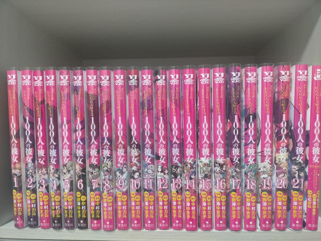 【超美品】君のことが大大大大大好きな100人の彼女 1〜21巻＋小説