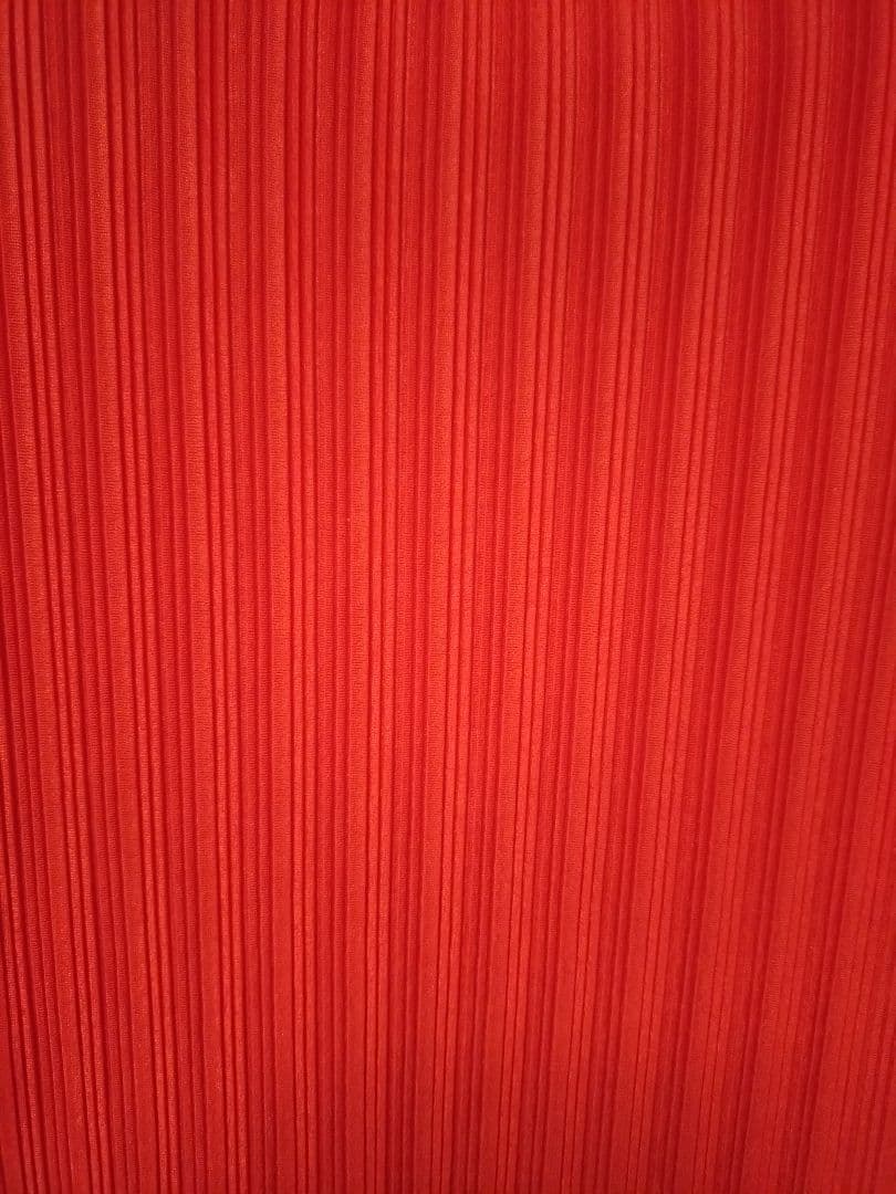 ISSEY MIYAKE 赤 長袖 トップス