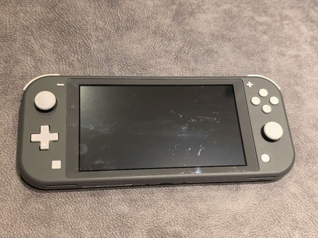 Switchライト グレー 2019