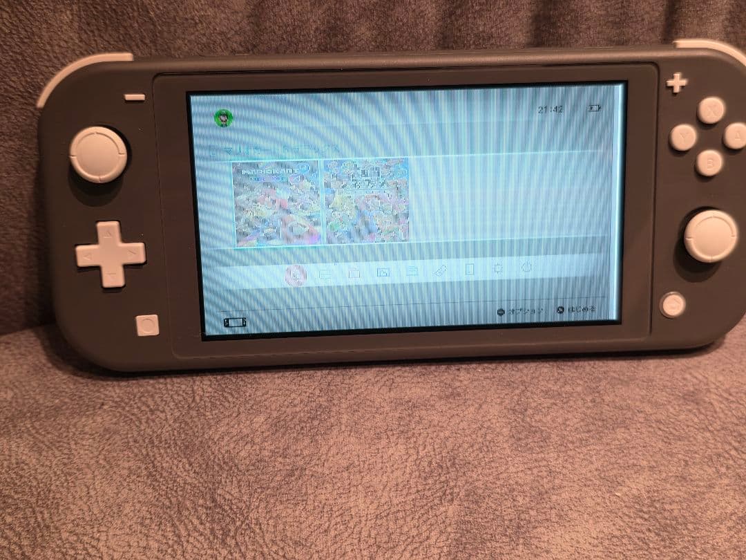 Switchライト グレー 2019