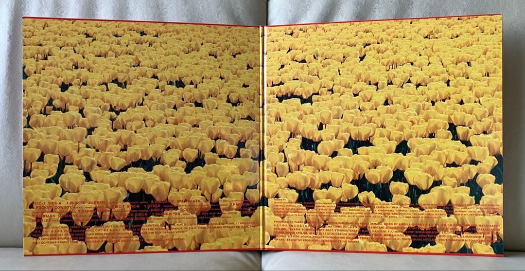 【美品】電気グルーヴ『A』Shangri-La / シャングリラ2LPレコード