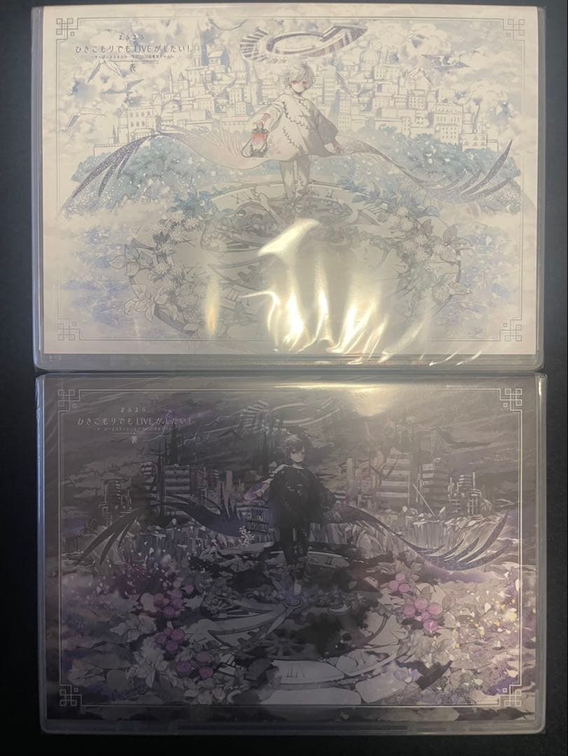 まふまふ 東京ドーム 表 裏 DVD 新品未開封