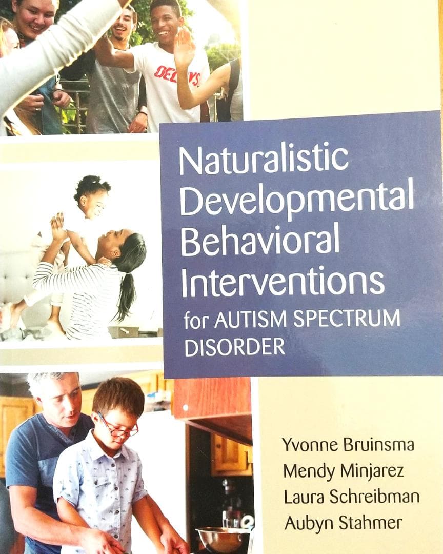語学・辞書・学習参考書 Naturalistic Developmental Interventions
