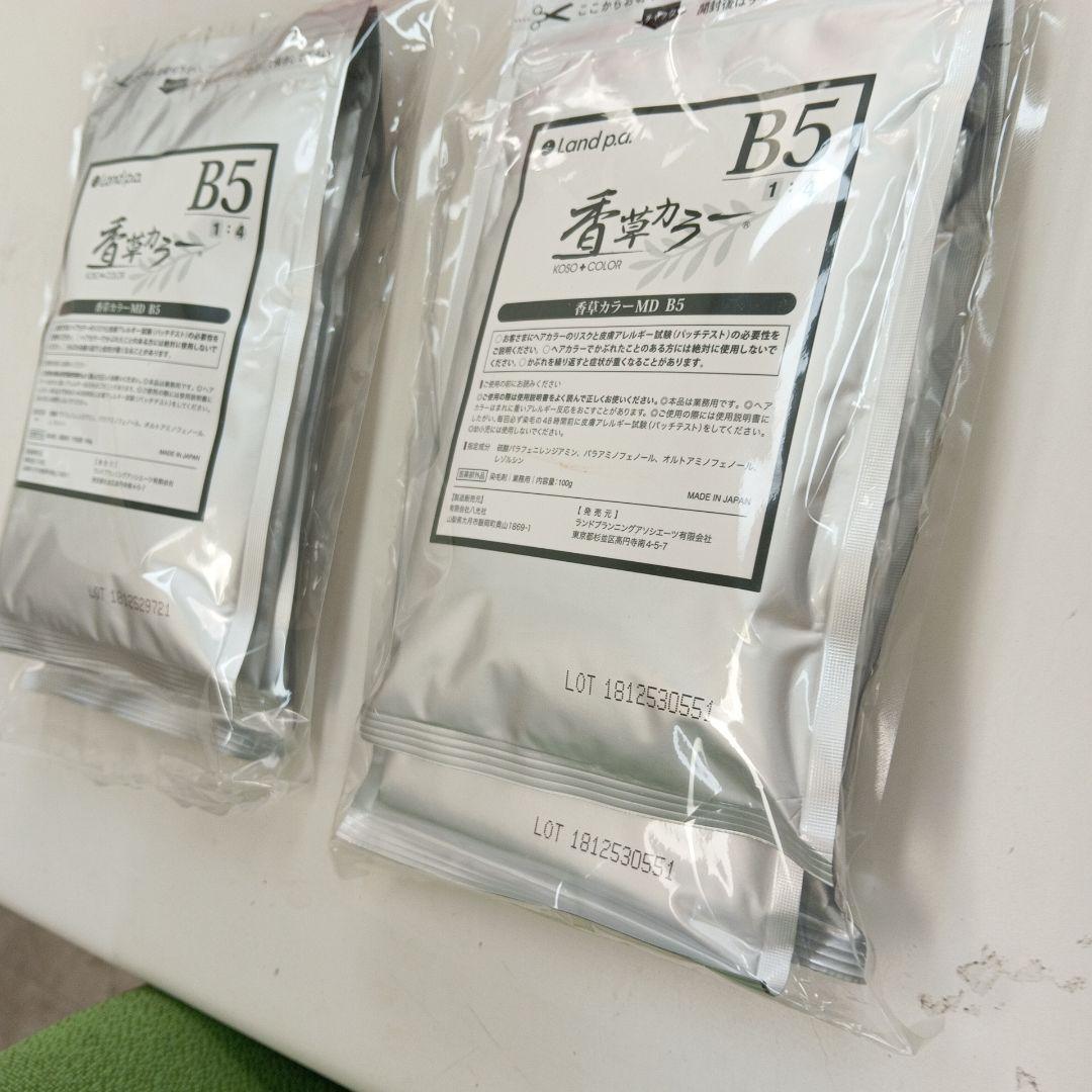 香草カラー B5 ３００g 2パックセット税込み未開封新品