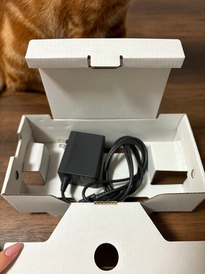 【箱・充電器付き】Nintendo Switch Lite イエロー 本体