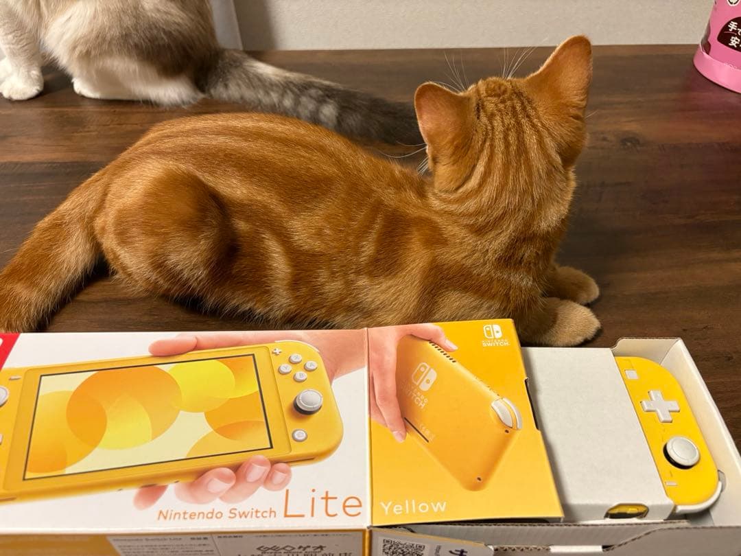 【箱・充電器付き】Nintendo Switch Lite イエロー 本体