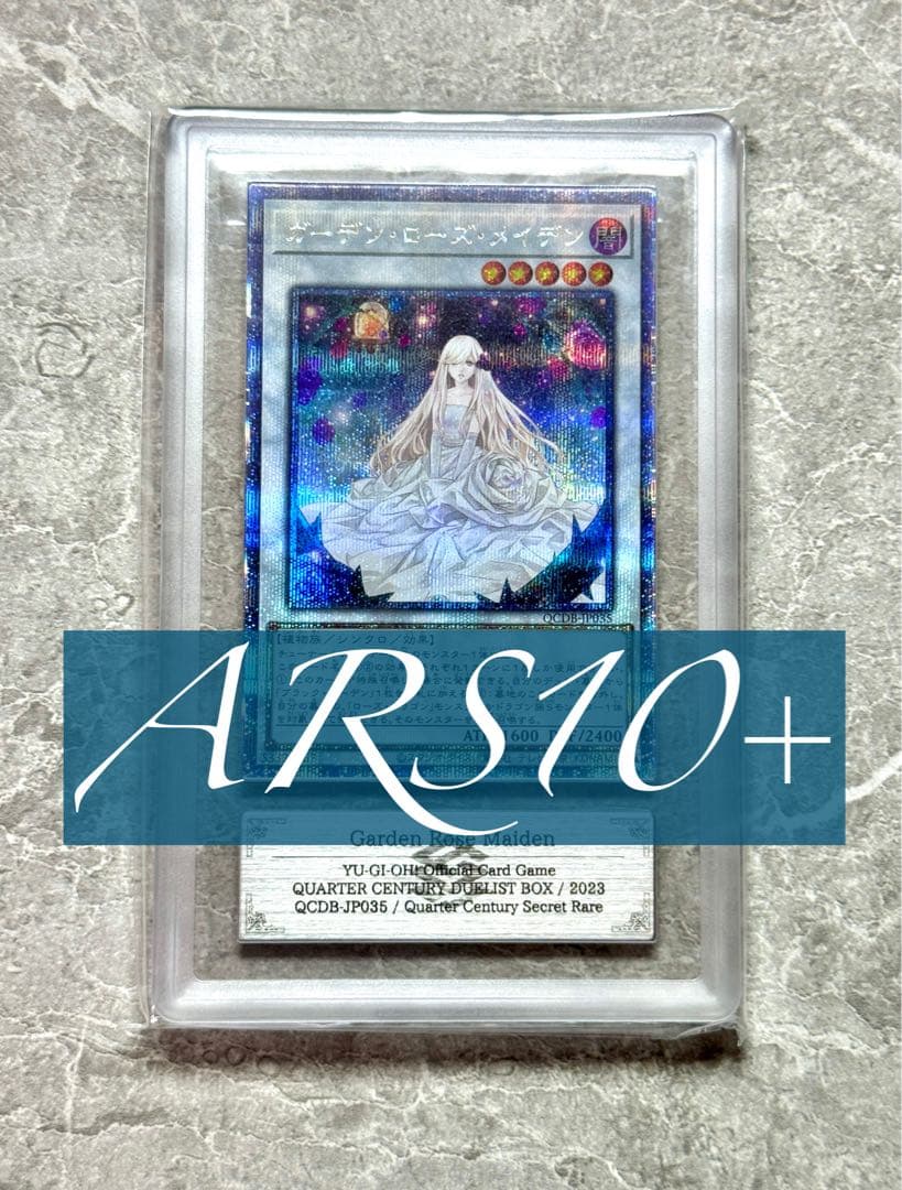 ARS10+ 世界に12枚 ガーデン・ローズ・メイデン 25th