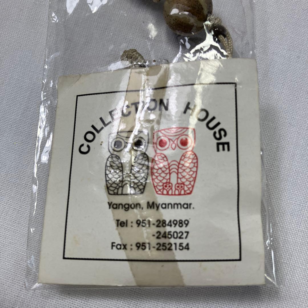 ネパール産のアンモナイト