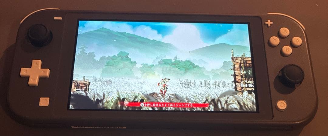 switch lite 本体のみ　アナログスティック交換済み