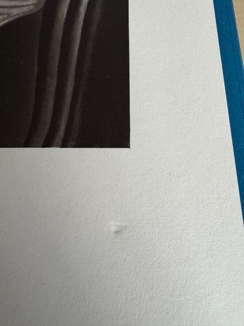 絵と彫刻 加藤泉作品集