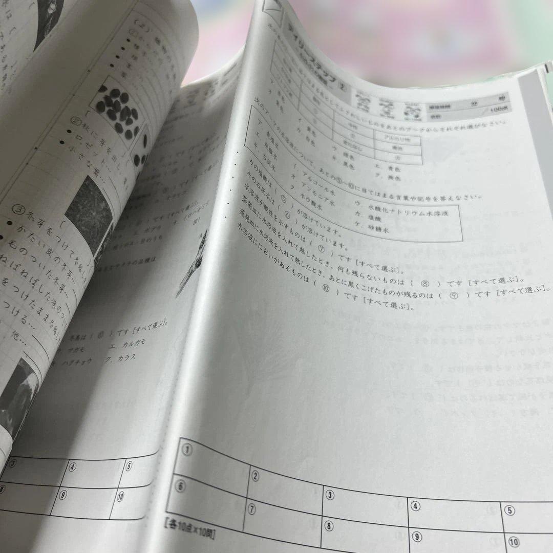 ㉔Aa サピックス　SAPIX 6年　理科　ディリーサピックス　一年分