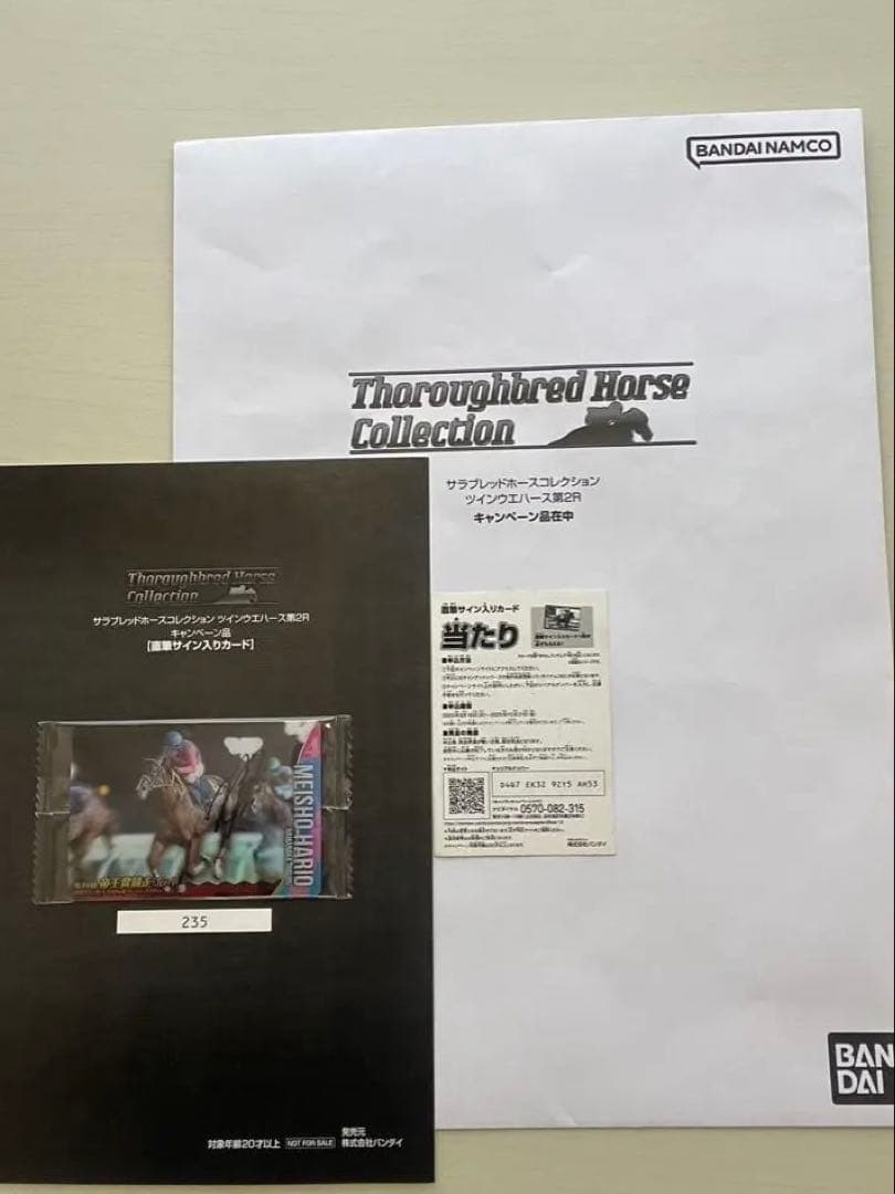 サラブレッドホースコレクション2 メイショウハリオ&浜中俊騎手直筆サイン