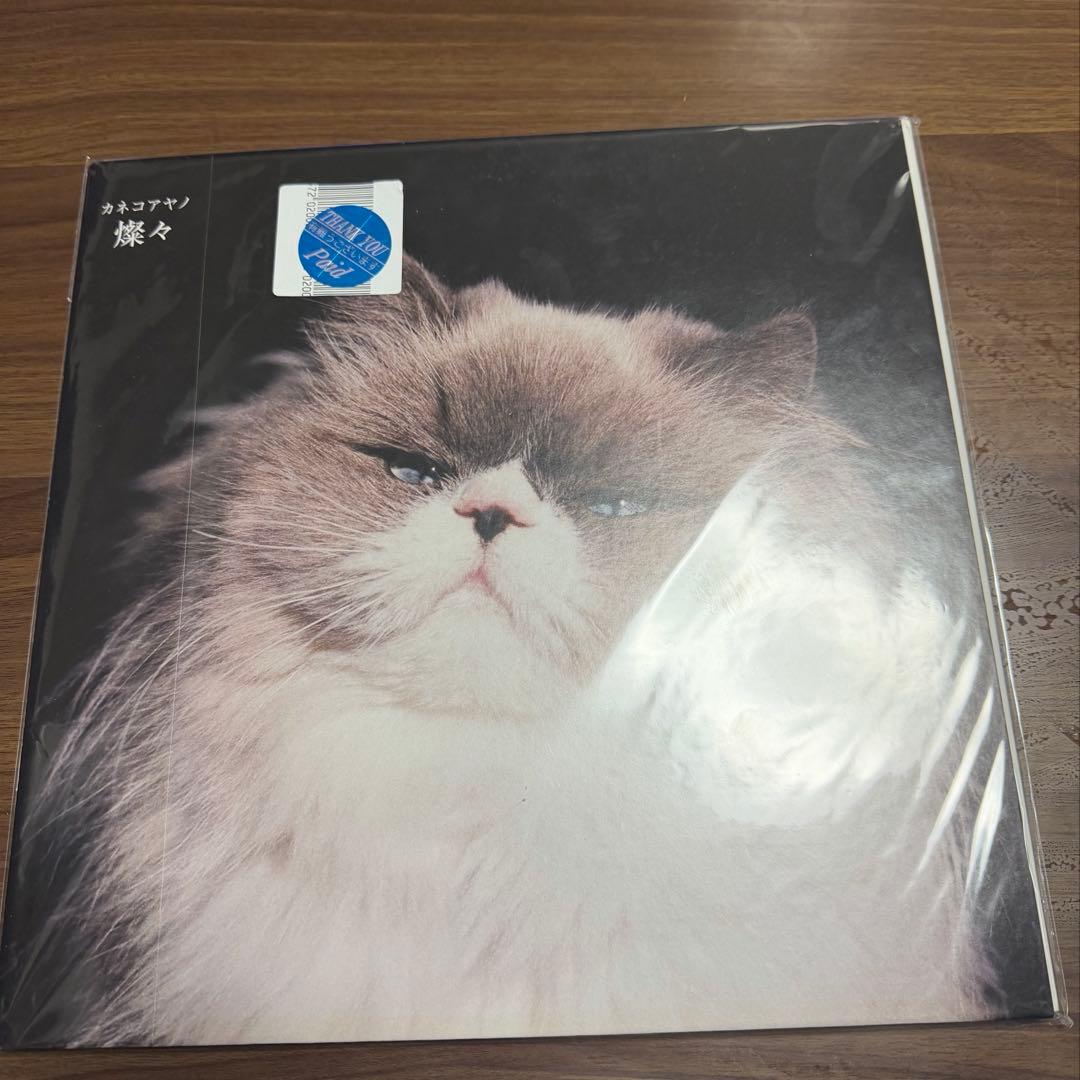 カネコアヤノ レコード 燦々