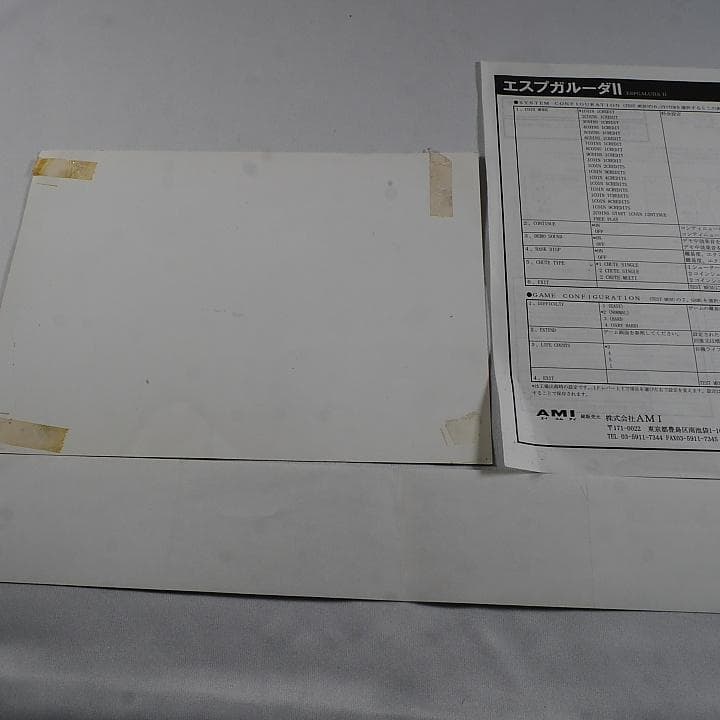 純正インスト+取扱説明書+帯1本　エスプガルーダ2　CAVE