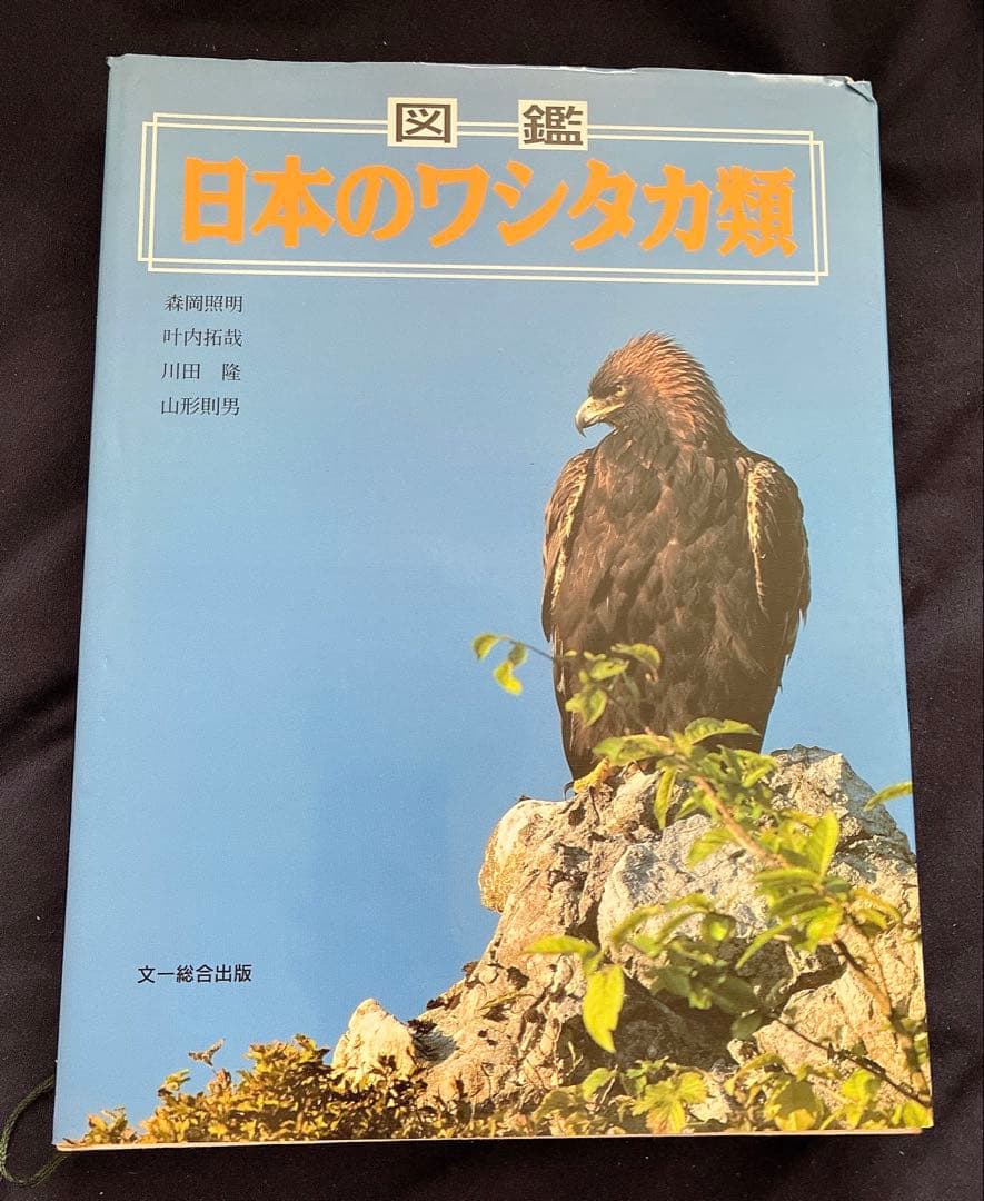 ★図鑑　日本のワシタカ類