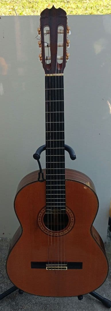 ギター Ryouji Matsuoka M30A