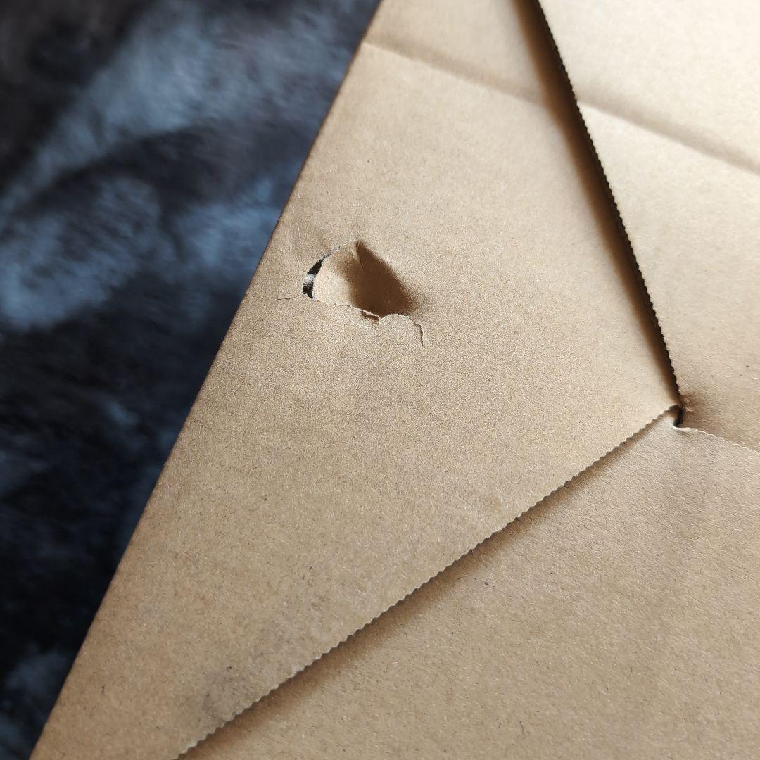 【新品未使用】象印　デイリーコンパクトプレートブラック　EJ-DE30-BA