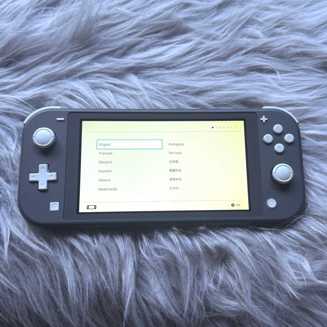 Nintendo Switch Lite 本体 グレー（※訳あり）